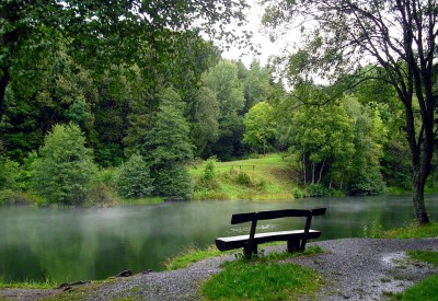 Bench by a River